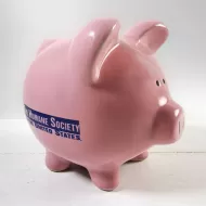 Humane Society Vintage Pink Pig Ceramic Piggy Bank