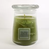 Citrus Cilantro 15 oz. Scented Candle in a Glass Jar