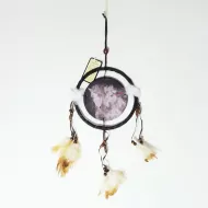 Two Wild Horses Red Feather in Mane Dreamcatcher